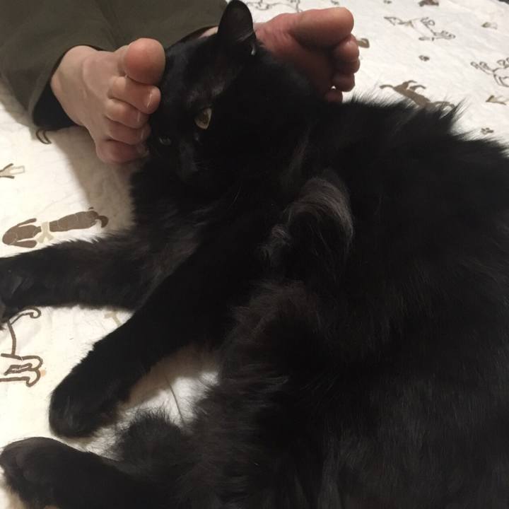 2b643299 5075 4d6c b50a dd03bb224a04