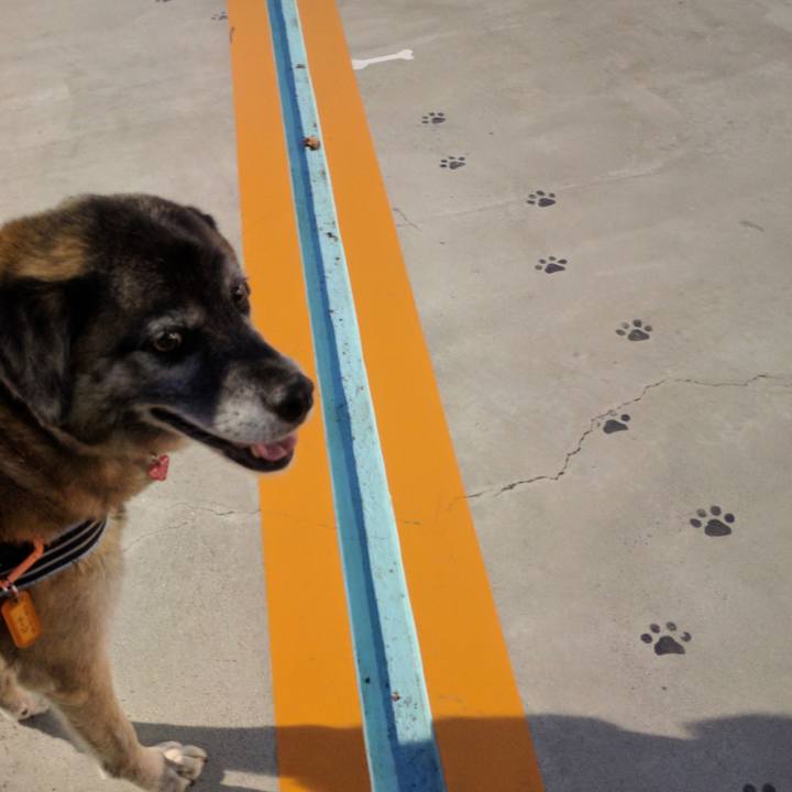 2b661e1f 133c 41f1 8bf5 8f4e07a98961