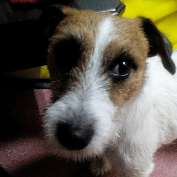 2b66292d 14ec 4d31 a806 c5274b96b95f