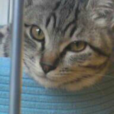 2b66594b c6cc 4e93 b13f f629d2a9598c