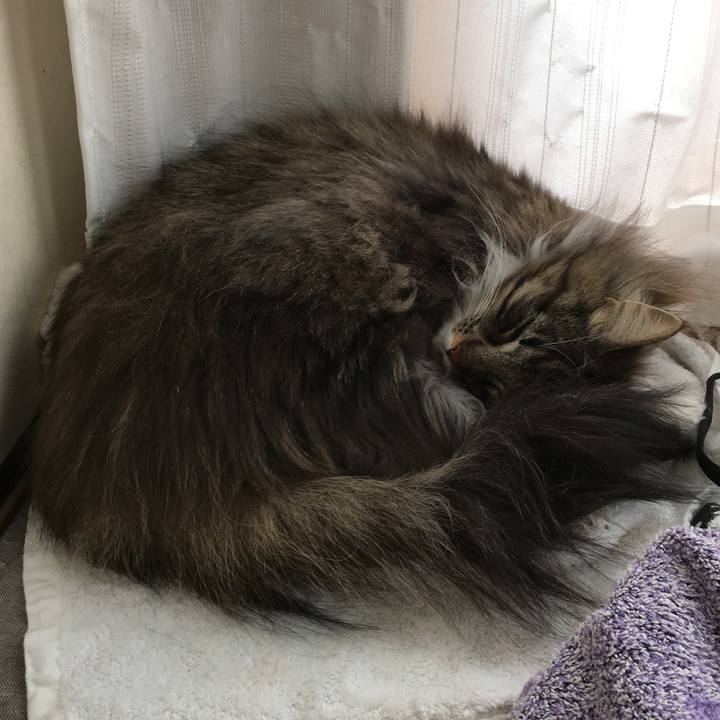 2b668c79 eae4 4fb4 9209 7636bcad7ad9