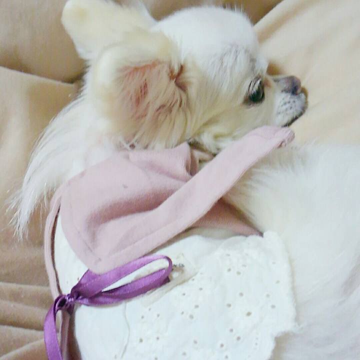 2b6690fa bca1 40f7 ad05 5d523d20ceb4