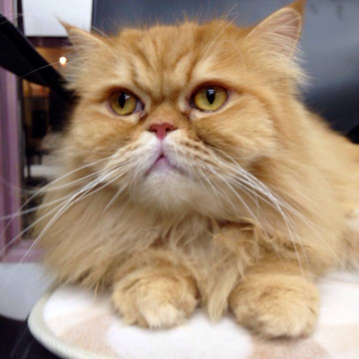 2b675cf5 e329 4ca3 8578 41df9b074176