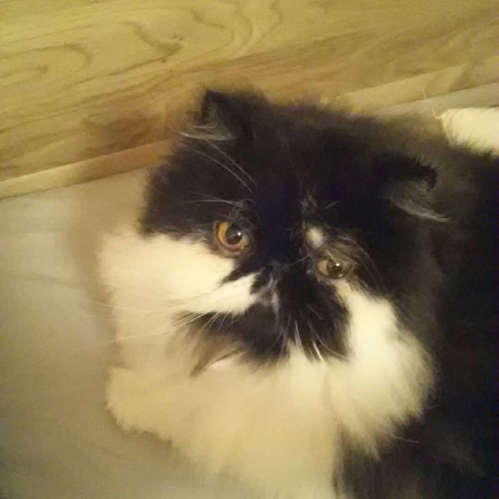 2b67b0e5 cdad 4214 96ac e9fba6abe593