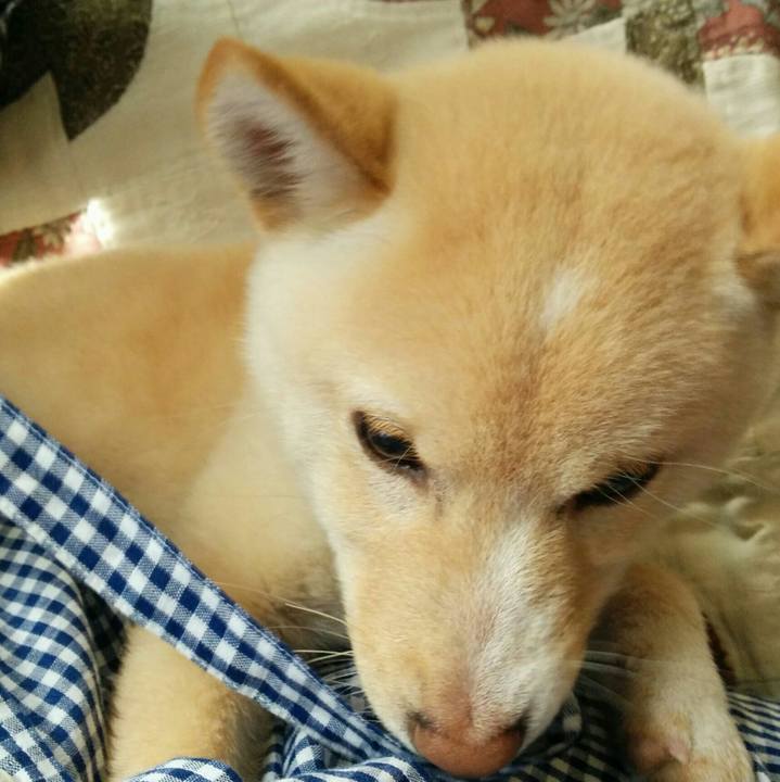 2b67e150 8b66 478c a627 808a3827f190