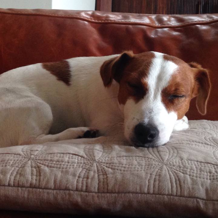 2b689fb3 68ab 48e3 8e42 979c8f535a14