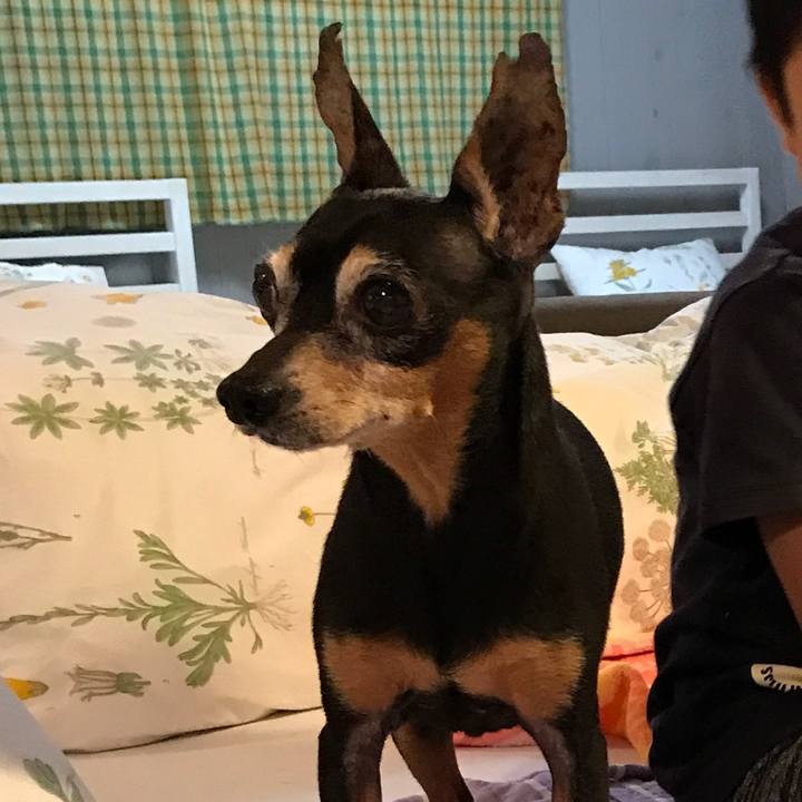 2b68b37f 3a66 4c67 ae36 c900f4983e14