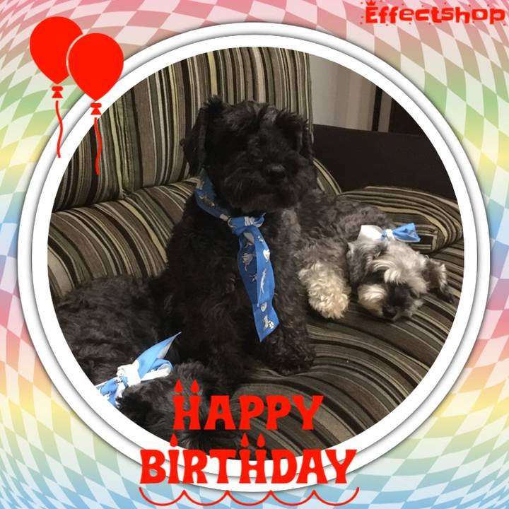 2b68c561 0c49 4932 a78e a13aca7e700d