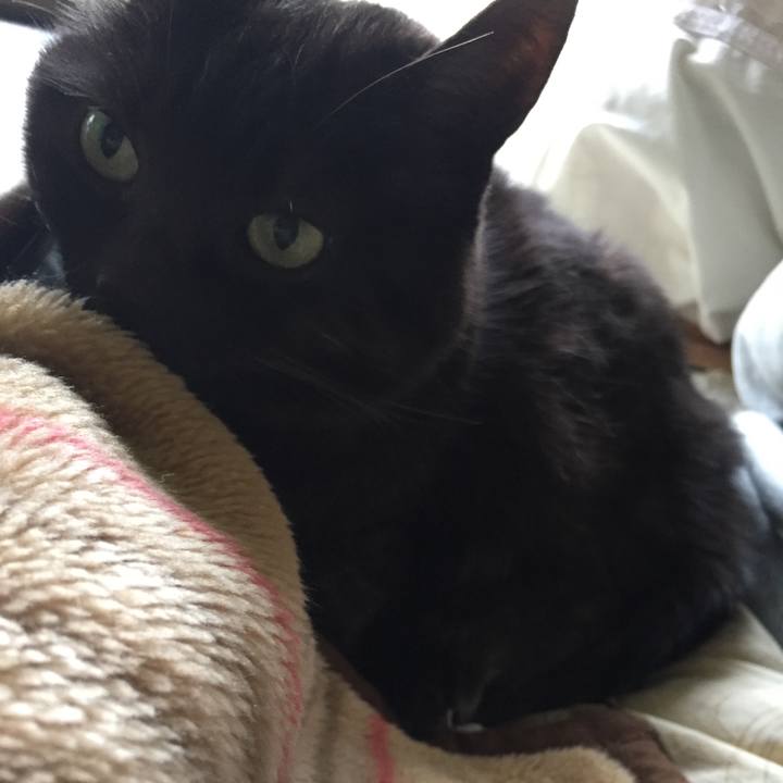 2b69bd19 d0de 4bdb bc37 a19a76215b35