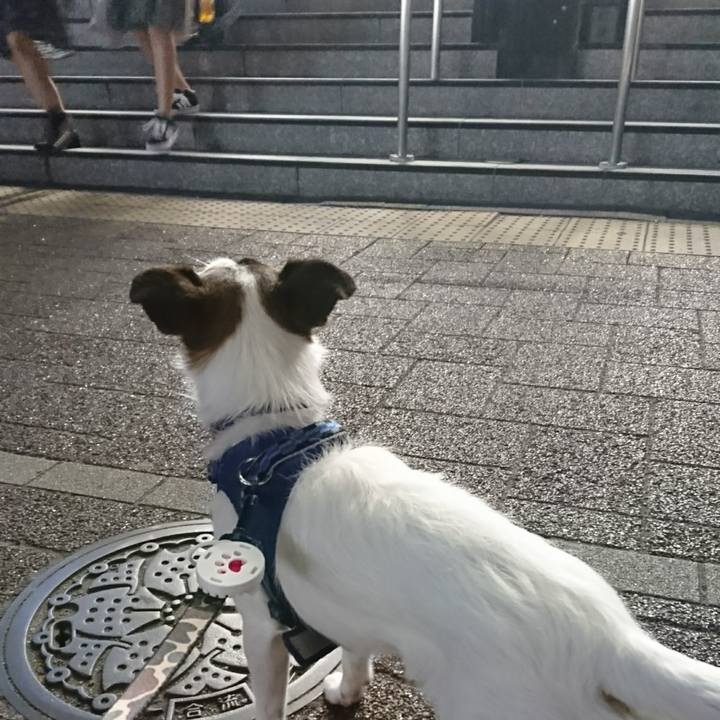 2b69cefa f8d4 4e35 9f7e 57c649fce8e7