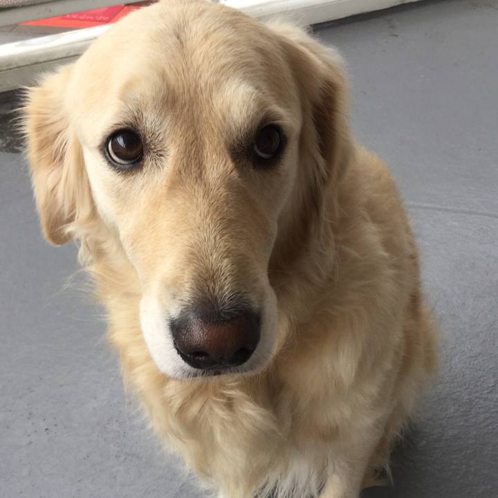 2b69e35e 649c 422c a764 1f9bfd427566