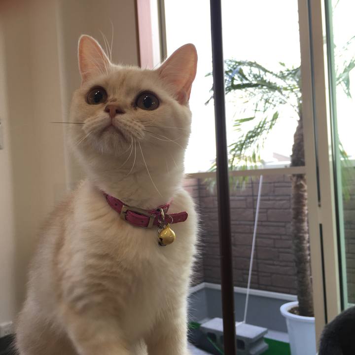 2b6a55ba d967 490e 97c3 906ce9c06f1f