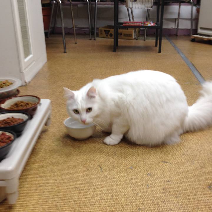 2b6b849c 0b36 4a09 be29 fa128647b089