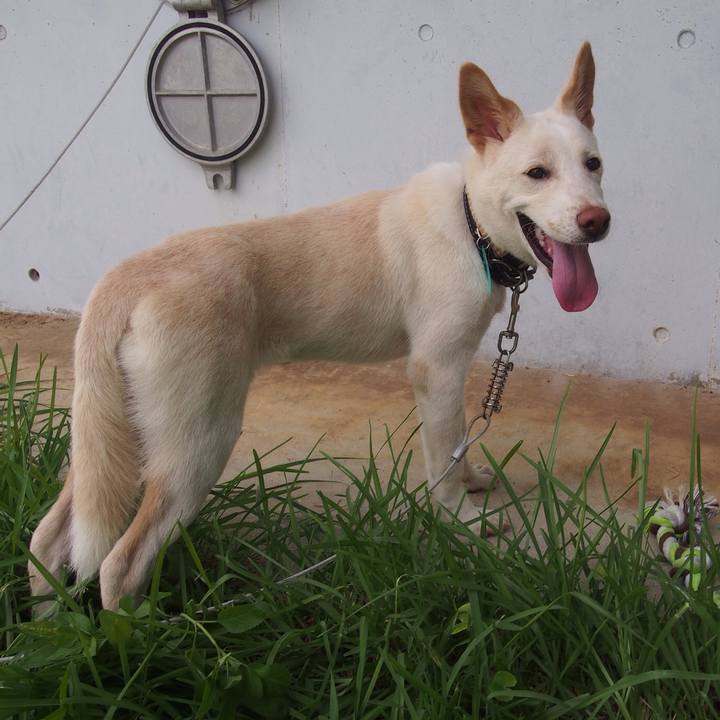 2b6b993a 5522 46ce a6b7 27180e13988a