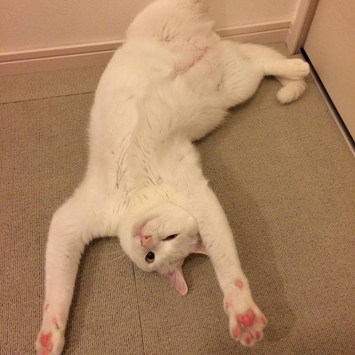 2b6c6477 a75b 4088 89d5 4dcd6654300d