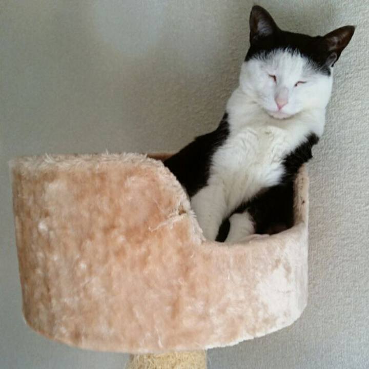 2b6c664c 4286 411c a26d b5858922da85