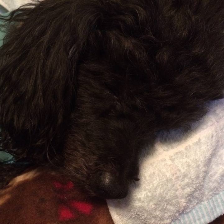 2b6c6b98 14db 48e2 9a0d 7984af9ce362