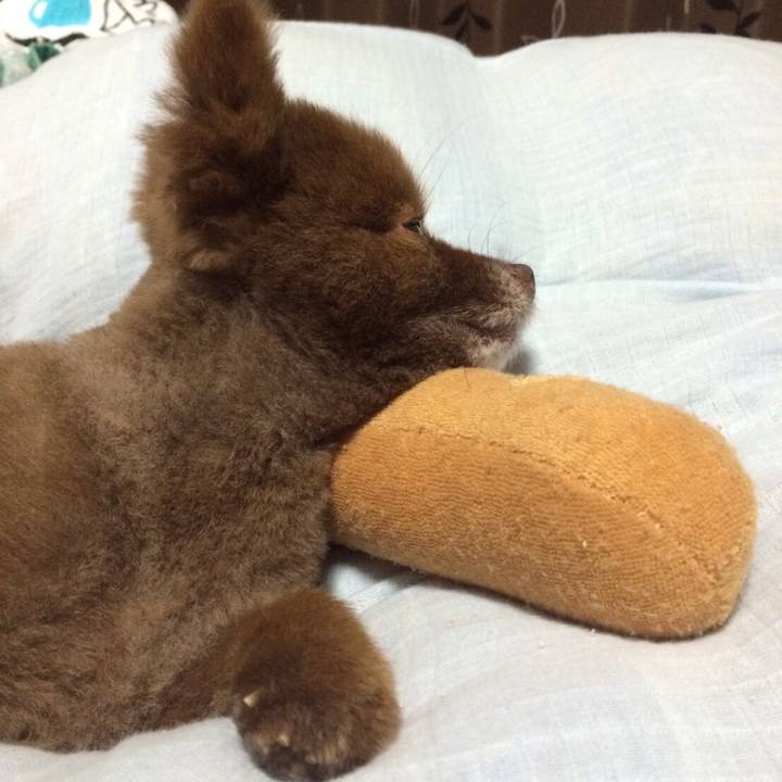 2b6cb5b2 804b 42c3 9941 2498f1336f26