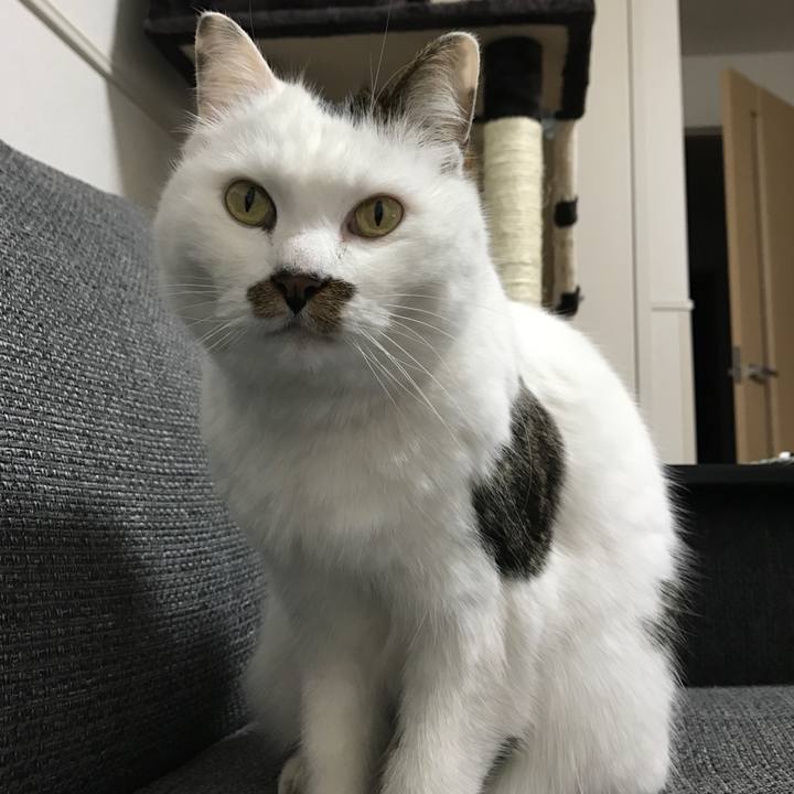 2b6cc5a0 dc13 4061 9775 c9c53323ae0f