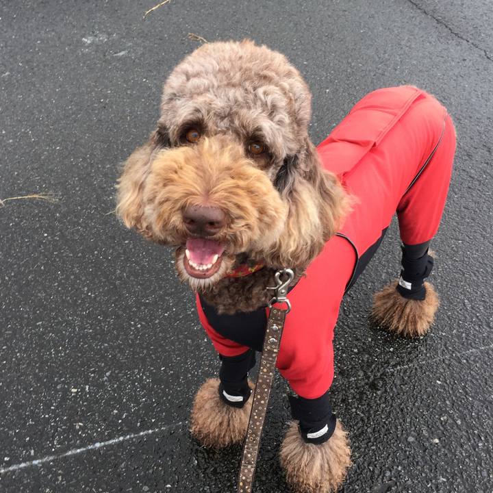 2b6cffba 4f04 4b87 8a1d 0233def6fc79