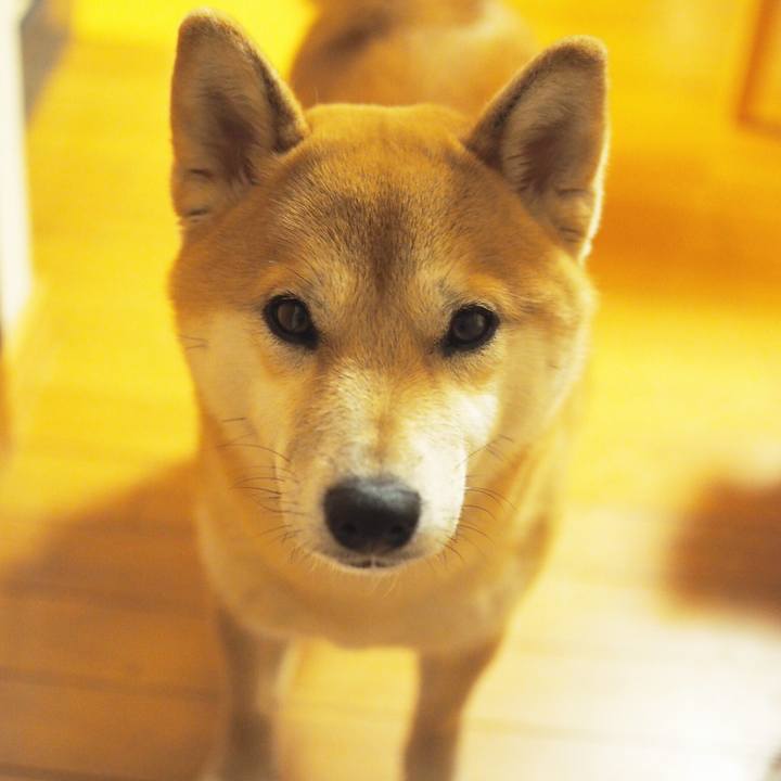 2b6d44dd ac44 435e bf28 d7b88dfbbab9