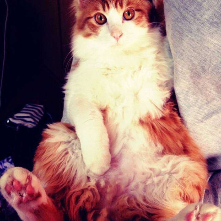 2b6d8ab4 8bc0 41f5 9716 74b29bc981d3