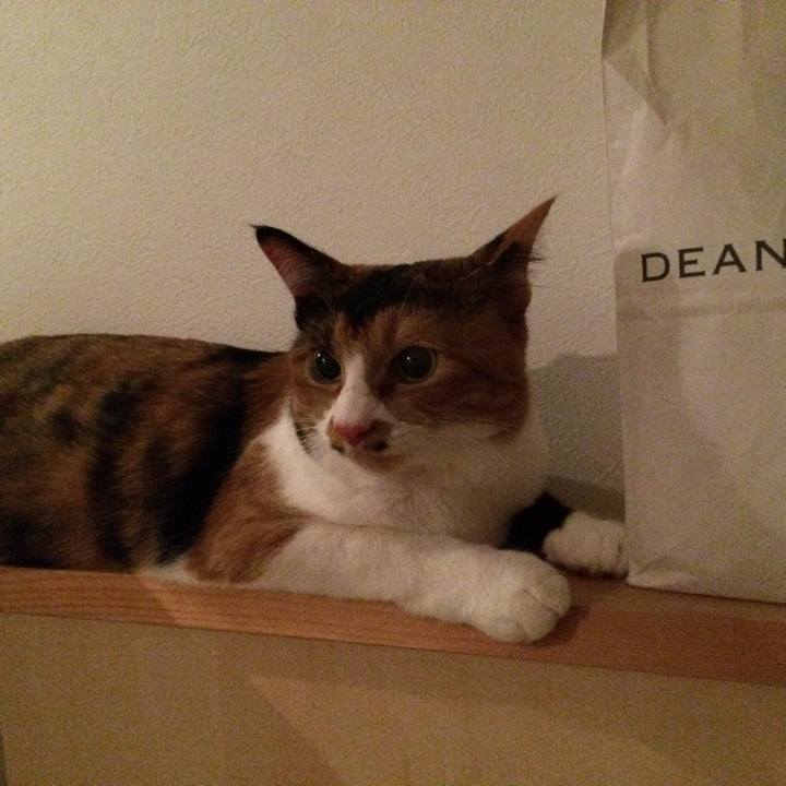 2b6d9bcc cd29 4fed 8835 7ce69335fe0f