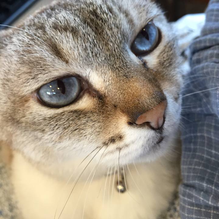 2b6db1a1 6410 4426 8911 228f85e945ec