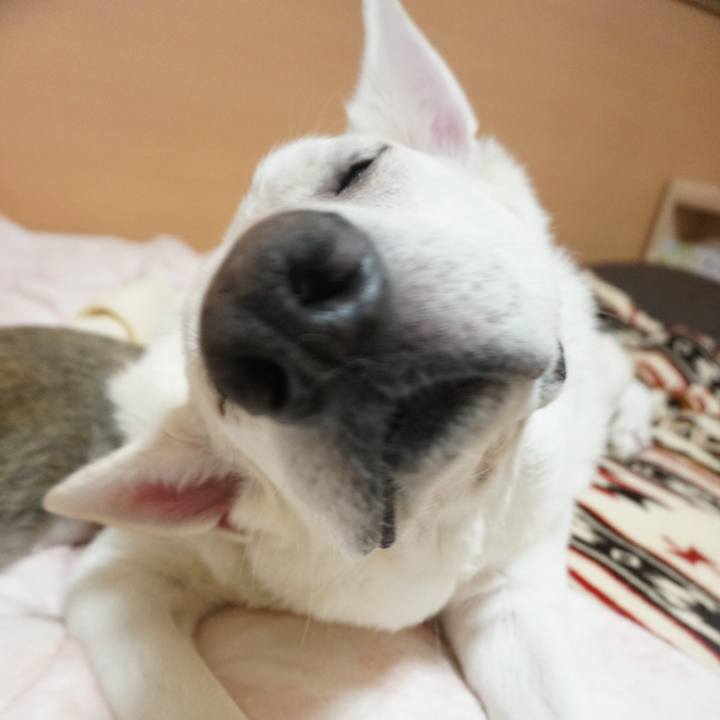 2b6e6e5d 56a7 44fb 9245 7c9ee4971dfd