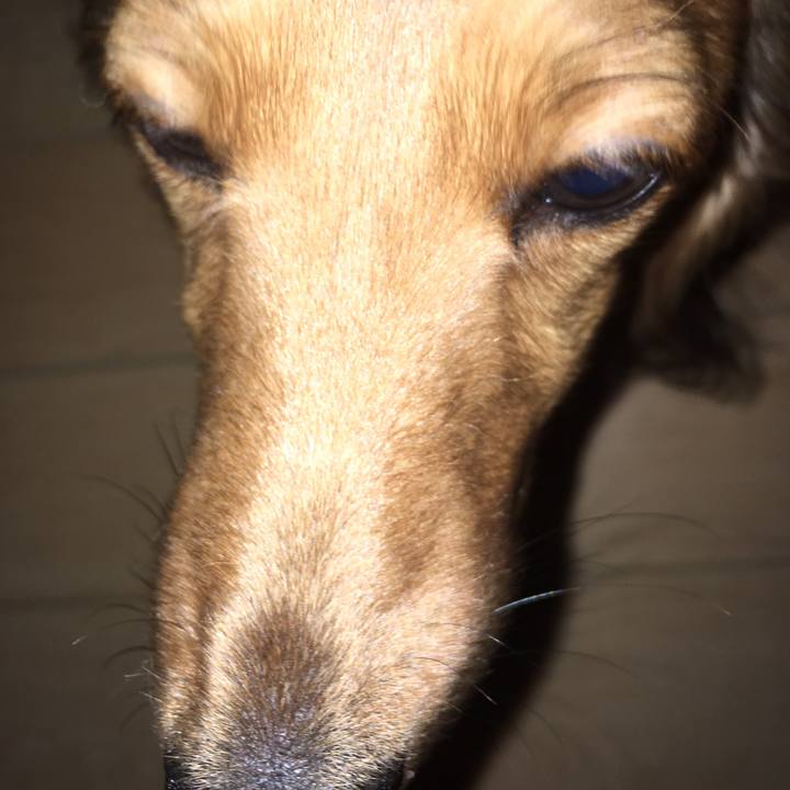 2b6f2920 51a4 4d27 8029 c96ce11c7110