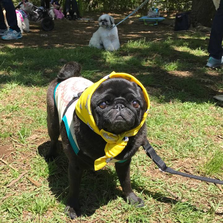 2b7089b8 9faa 435e af3f e40e6b0df30a