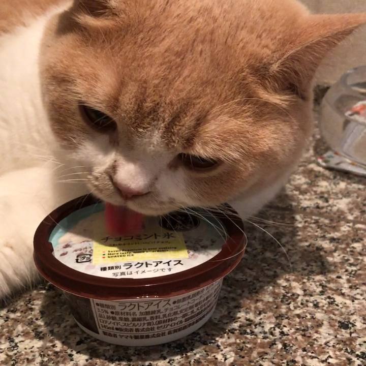 2b716de7 5afd 4791 818c 130799f57e1a