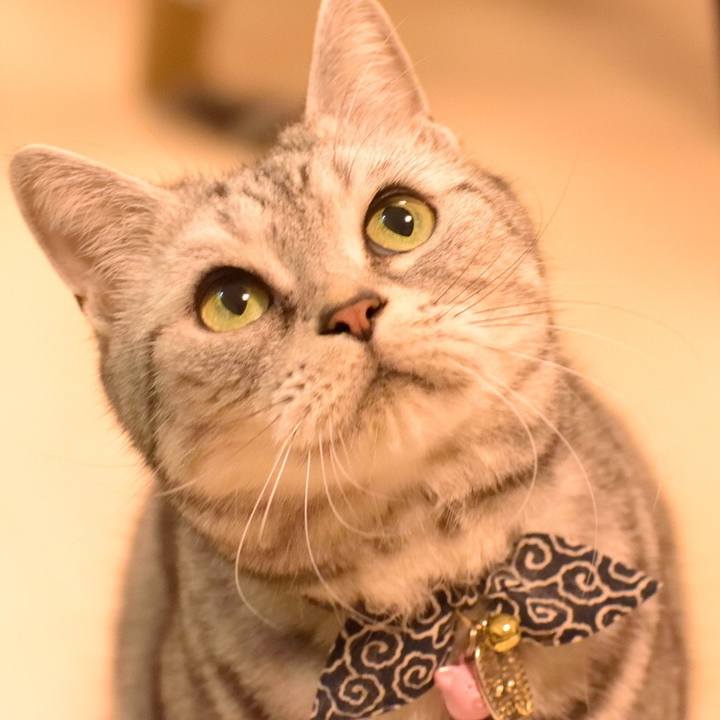 2b73e09b 29f3 499a 981c 81ea129e7573