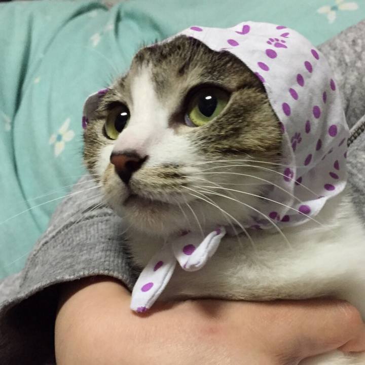 2b75597e 454f 41e2 83e0 cc1381feac0e