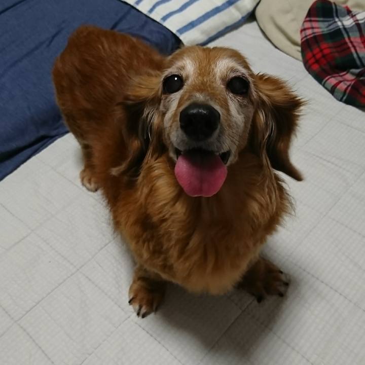 2b759513 7284 41a5 a886 911e3e09b5d9