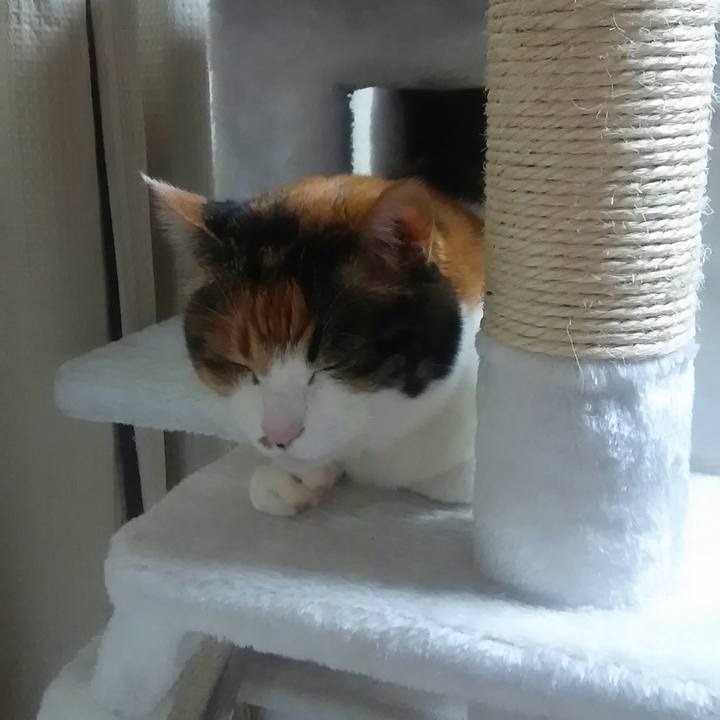 2b75a300 0e2f 447d a69b 996c511d60c5