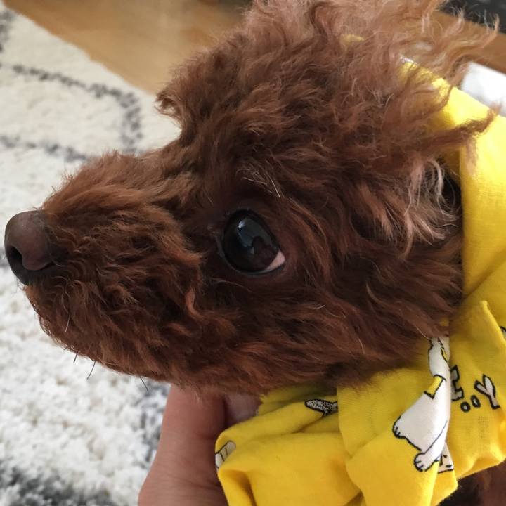 2b75d938 dab8 4429 8685 66dc2b2bd291