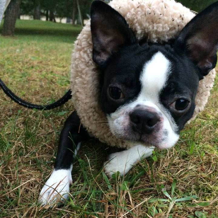 2b765e51 aa22 48aa 84f6 0fecdbcd08aa