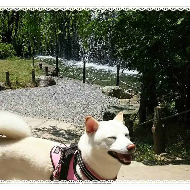 2b7660cb ed49 431d adca e2ffe1108f32