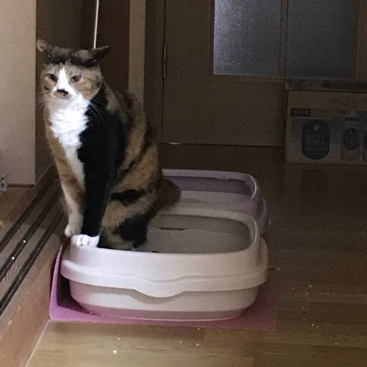 2b7687ed 2d3f 40d7 9689 f256d7d53823