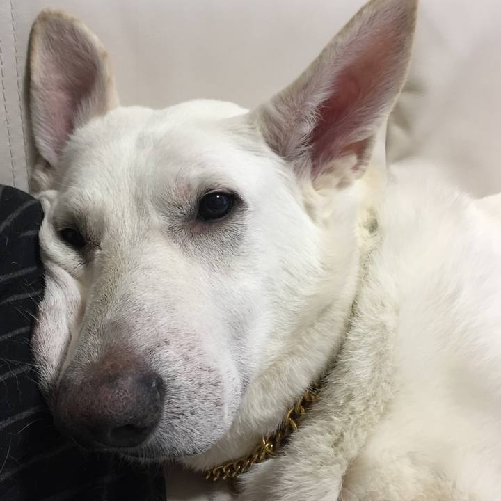 2b76c60f 529d 455b 8f3b 79c733065925