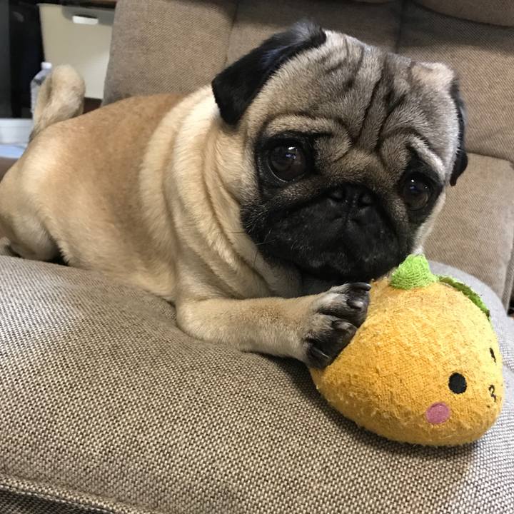 2b770494 e7bd 480f b163 26e32e04961b