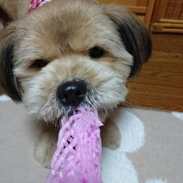 2b77d59e 362f 47ce b96e 97b8b8ace628