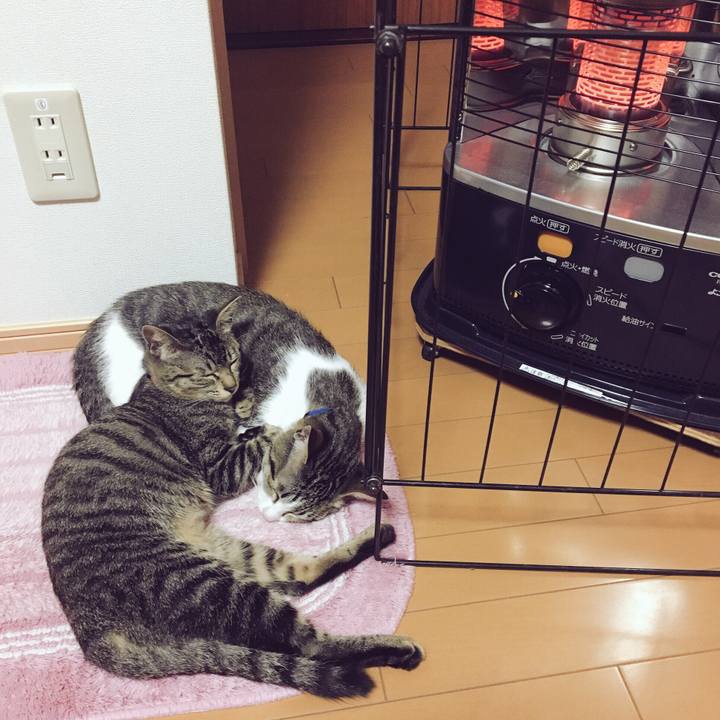 2b795014 3d7f 4b20 b797 c9df4b5bf612