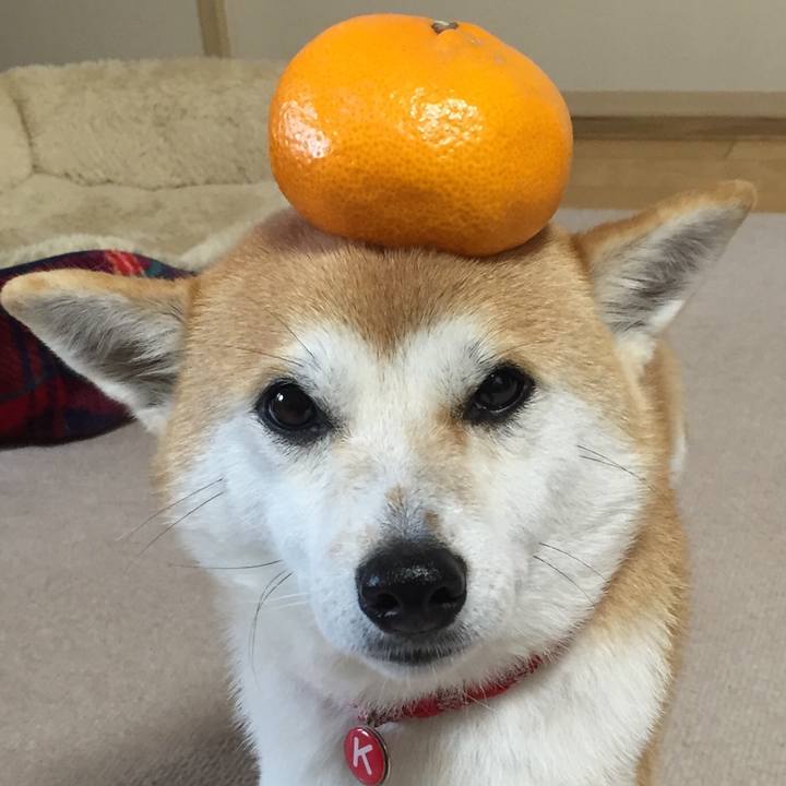 2b795a19 f9ee 4d3c 945d fa5f6686f339