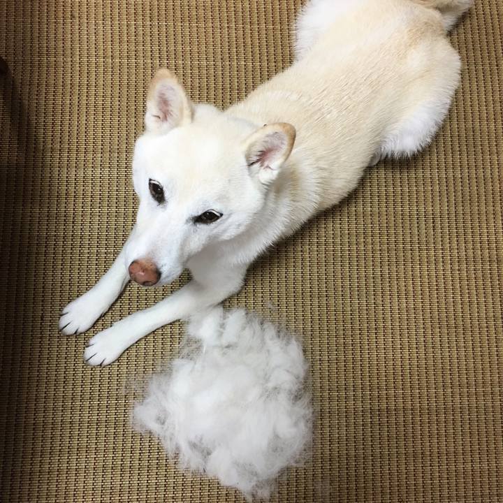 2b799c42 5a67 4662 810c 2939bb2b68f9