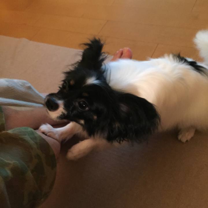 2b7abd34 6b46 4c86 b45c 54ad577b20da