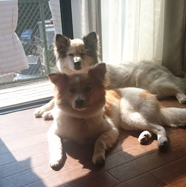 2b7b2cd1 2e56 44fc 868d b97d0c9b97c6