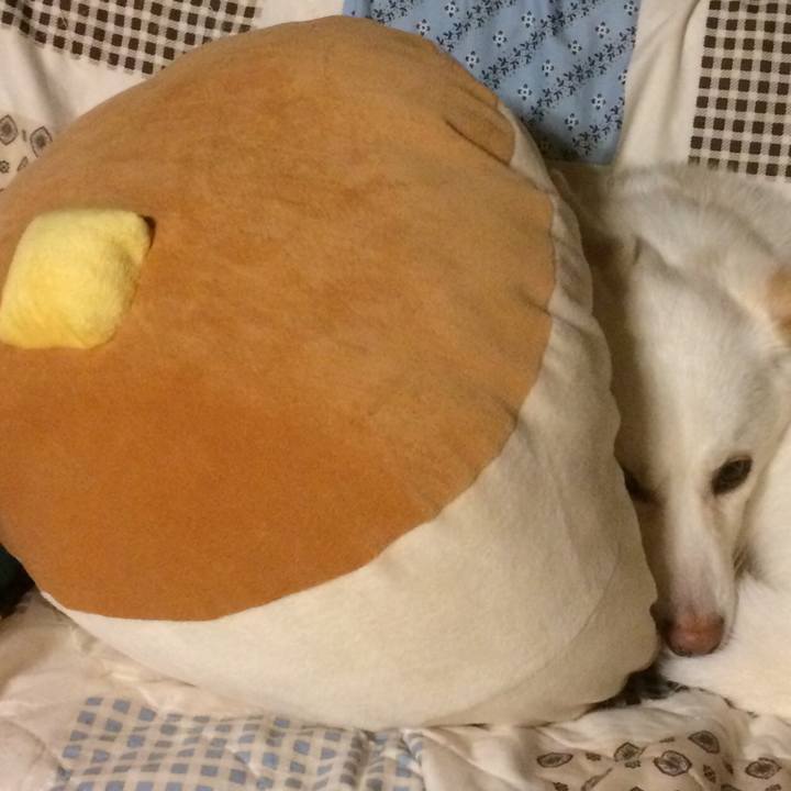 2b7b62b5 a56a 49ce bb53 4d02402e9c26