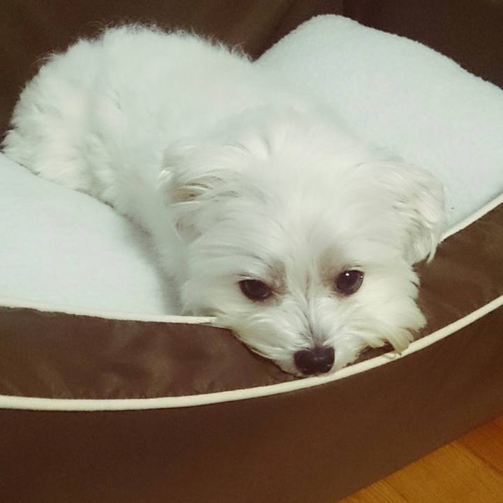 2b7b84fd 8610 4982 ba4b b0a2ba38dc1b